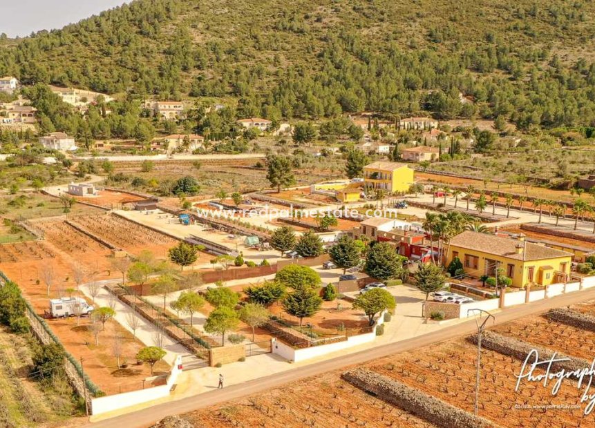 Videresalg - Finca / Landeiendom -
Jalón - Inland