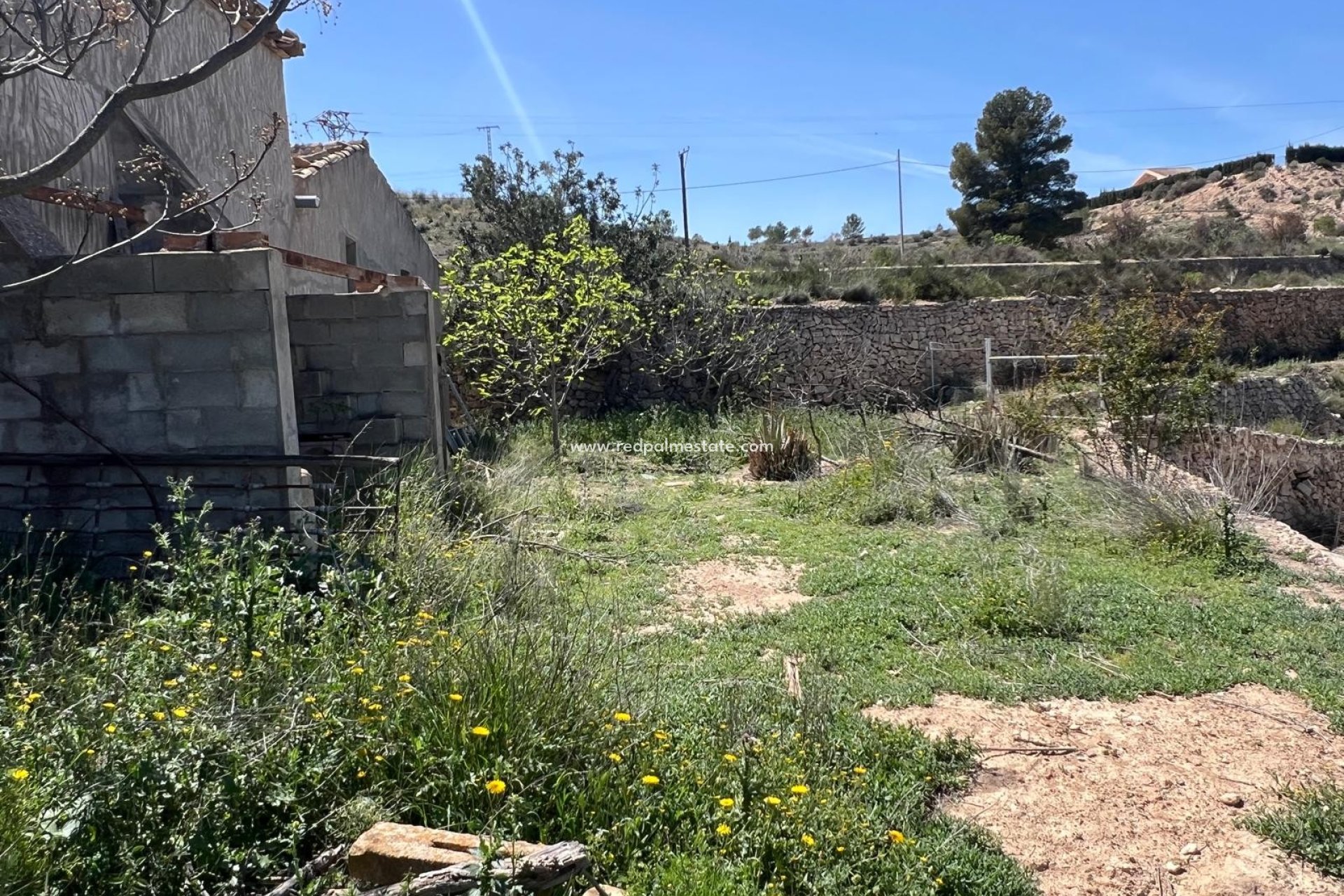 Videresalg - Finca / Landeiendom -
Monóvar/Monóver - Inland