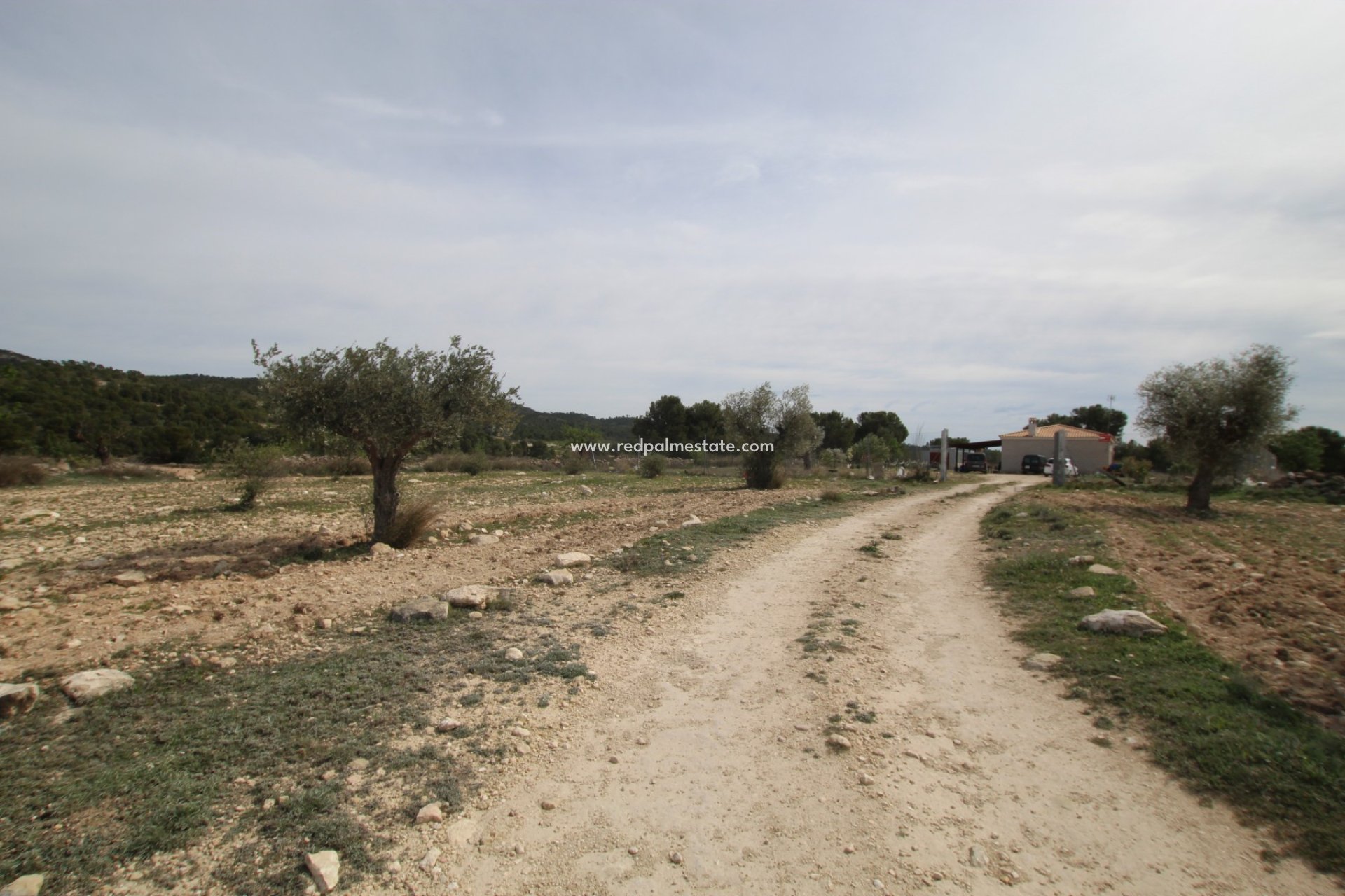 Videresalg - Finca / Landeiendom -
Monóvar/Monóver - Inland