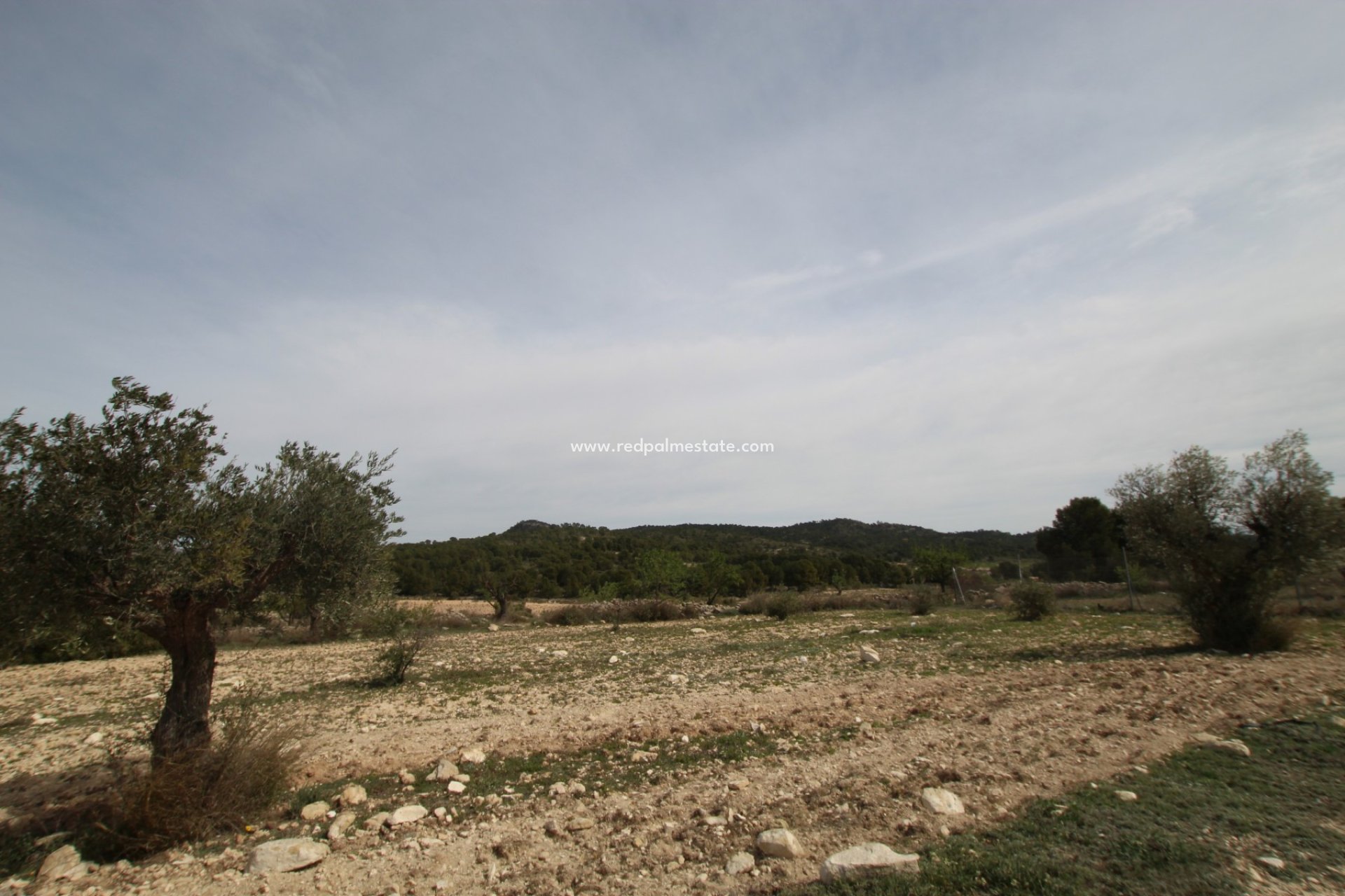 Videresalg - Finca / Landeiendom -
Monóvar/Monóver - Inland