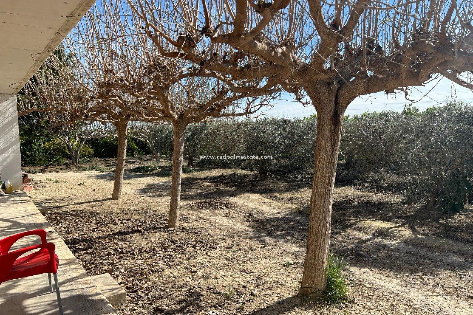 Videresalg - Finca / Landeiendom -
Montesinos - Los Montesinos