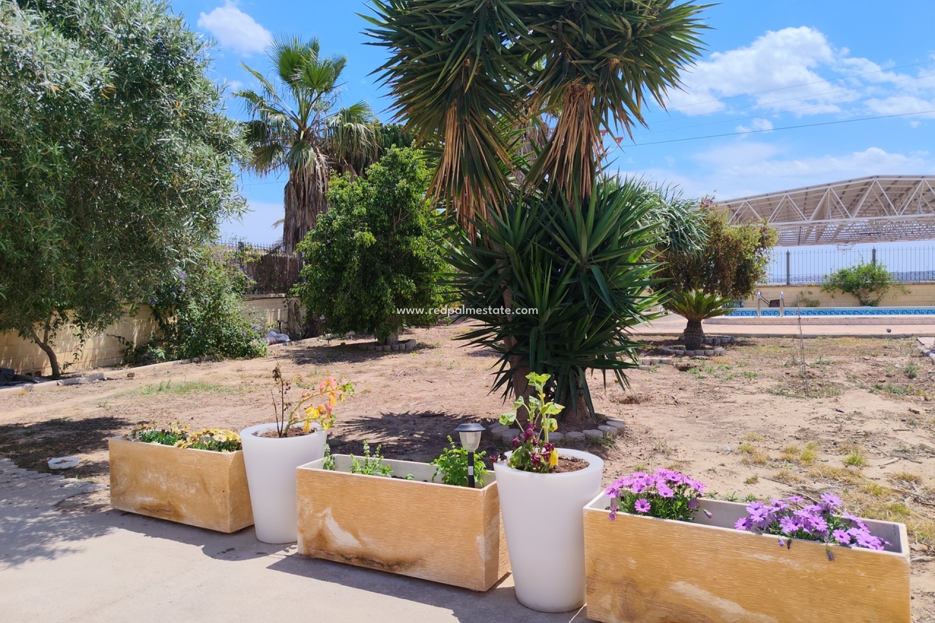 Videresalg - Finca / Landeiendom -
Montesinos - Los Montesinos