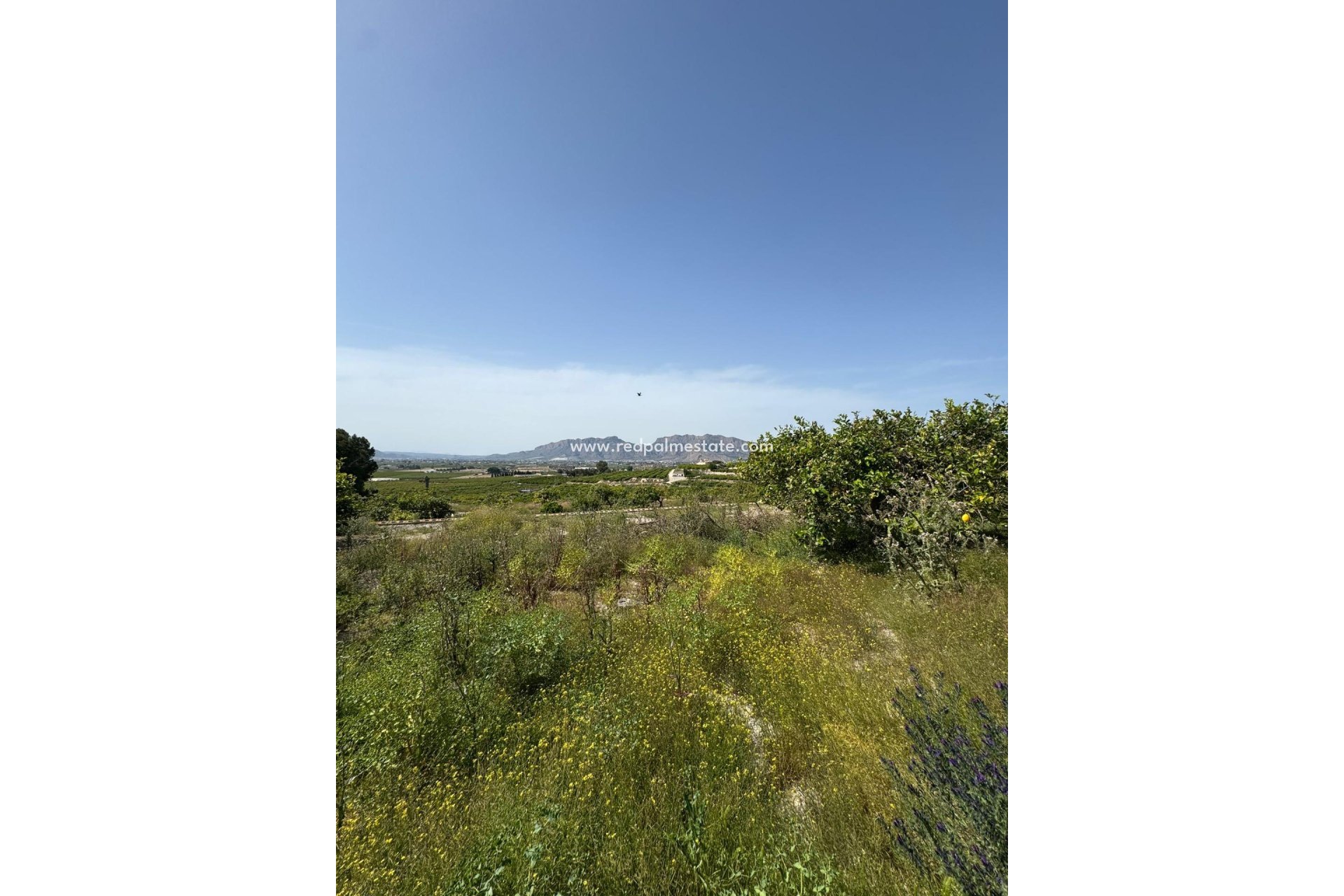 Videresalg - Finca / Landeiendom -
Orihuela - Arneva