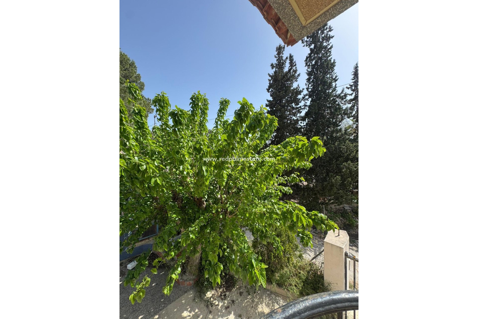 Videresalg - Finca / Landeiendom -
Orihuela - Arneva