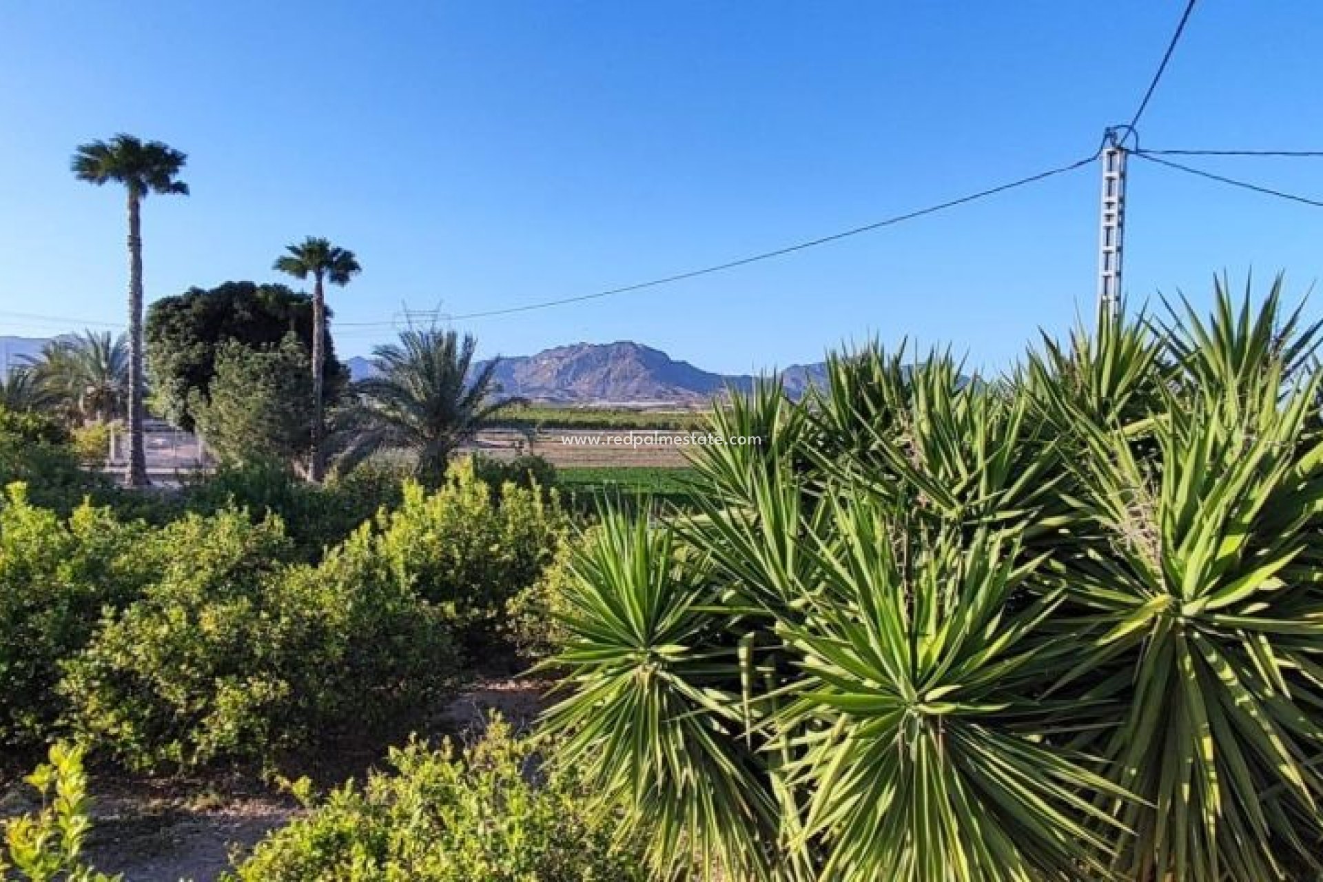 Videresalg - Finca / Landeiendom -
Orihuela Costa - Inland