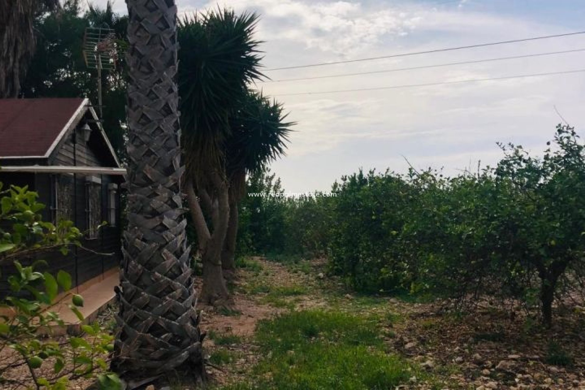 Videresalg - Finca / Landeiendom -
Orihuela Costa - Inland