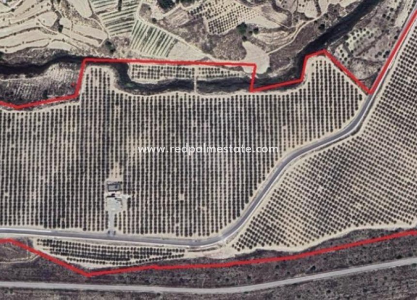 Videresalg - Finca / Landeiendom -
Orihuela - Desamparados-hurchillo-torremendo