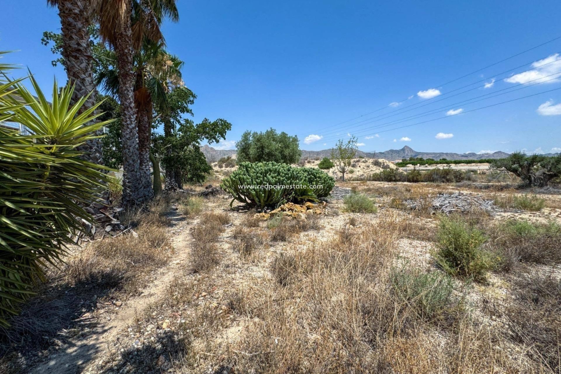 Videresalg - Finca / Landeiendom -
Orihuela - Inland