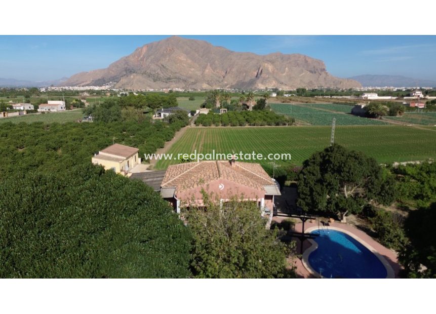 Videresalg - Finca / Landeiendom -
Orihuela