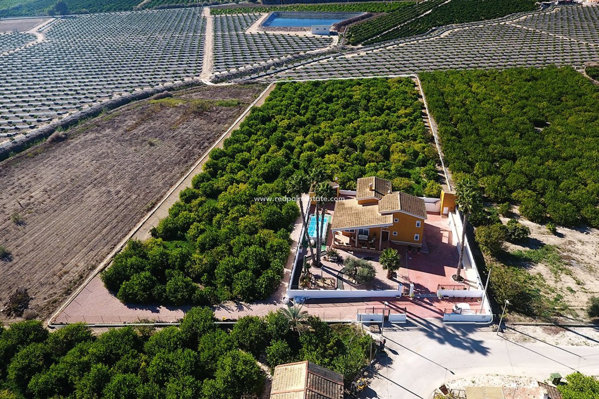 Videresalg - Finca / Landeiendom -
Orihuela