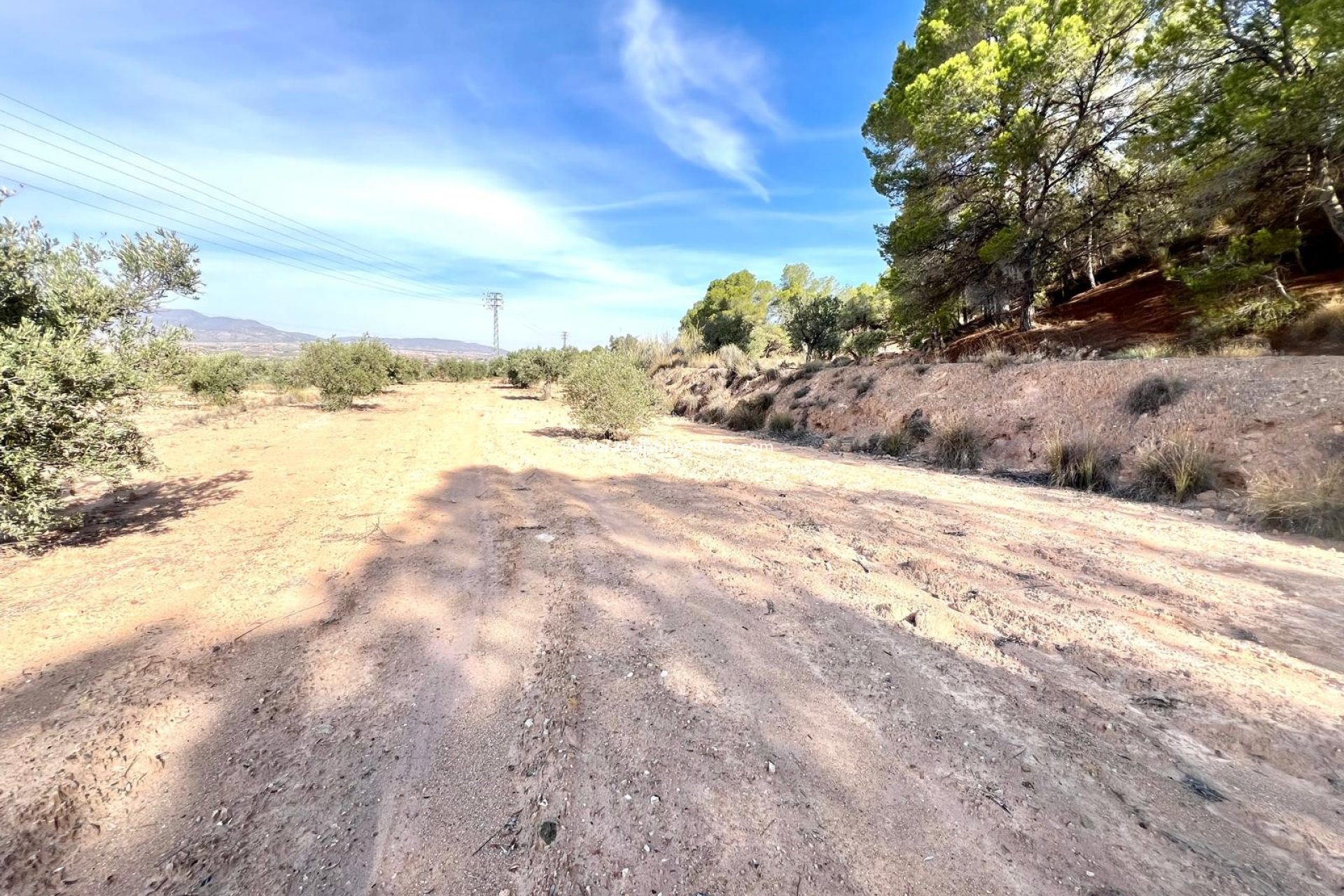 Videresalg - Finca / Landeiendom -
Pinoso - Inland