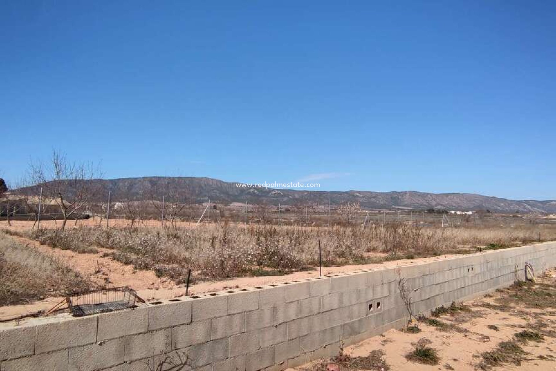 Videresalg - Finca / Landeiendom -
Pinoso - Inland