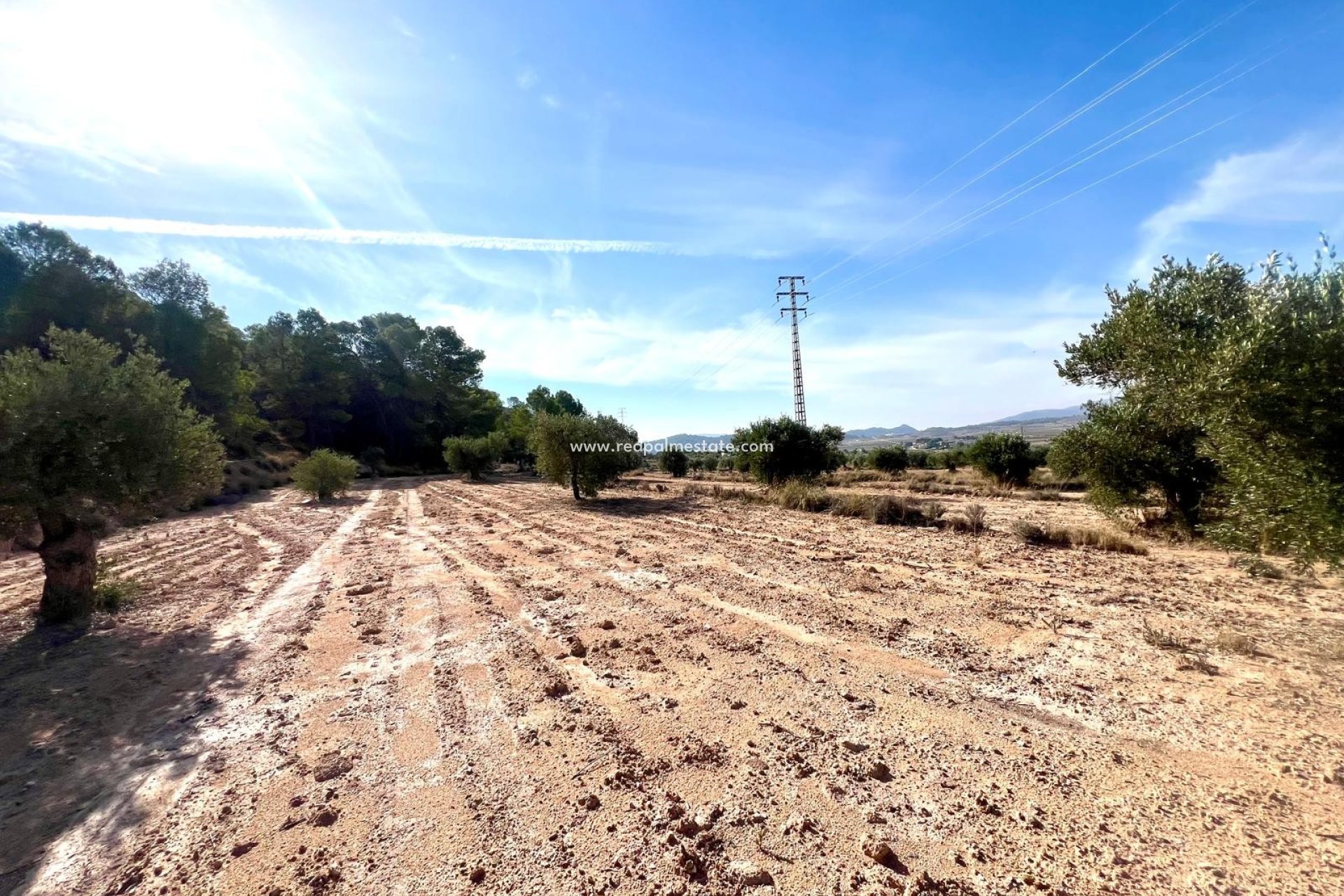 Videresalg - Finca / Landeiendom -
Pinoso - Inland