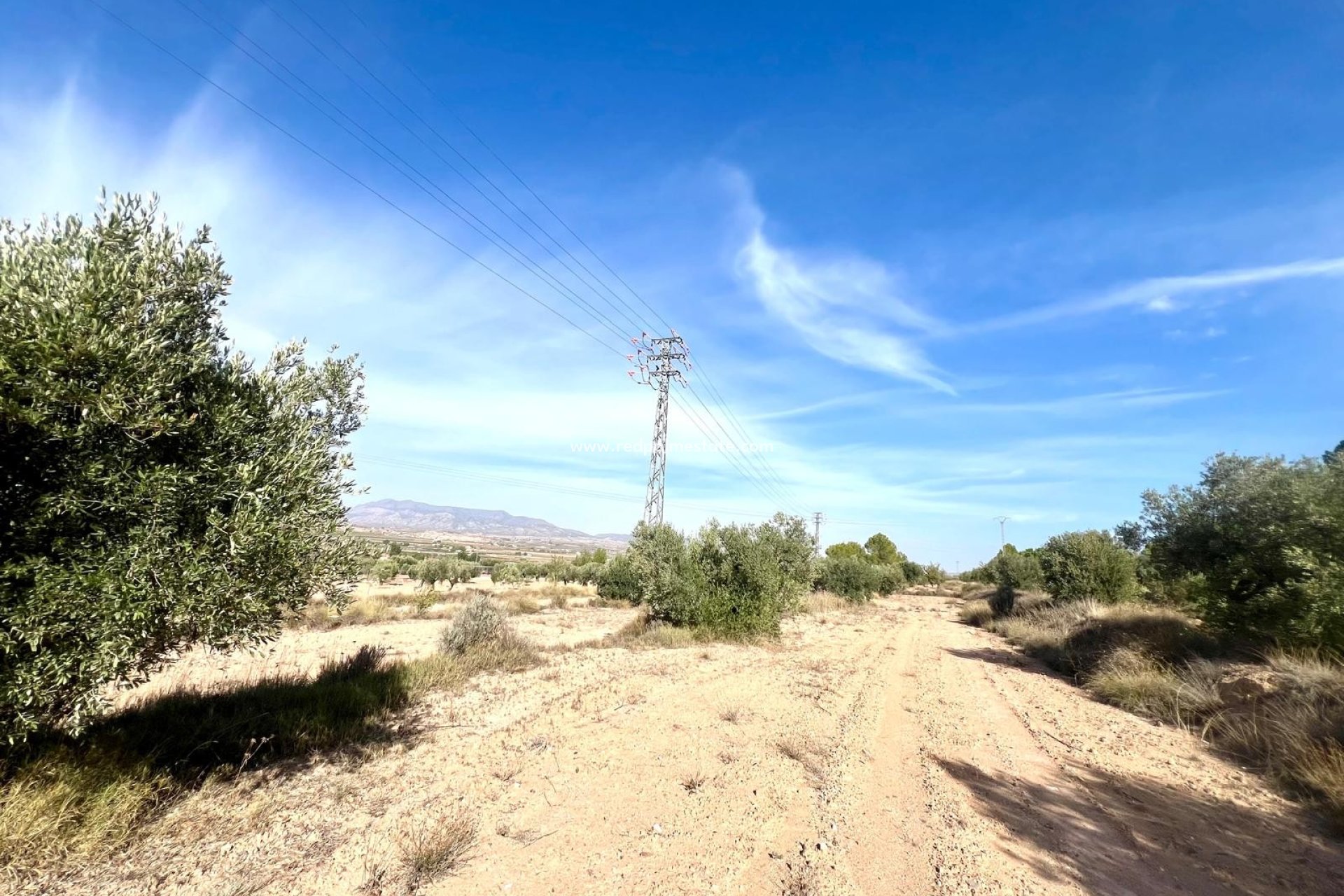 Videresalg - Finca / Landeiendom -
Pinoso - Inland