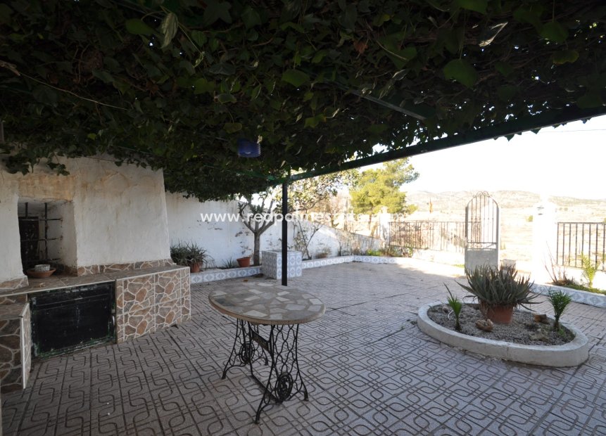 Videresalg - Finca / Landeiendom -
Pinoso - Inland