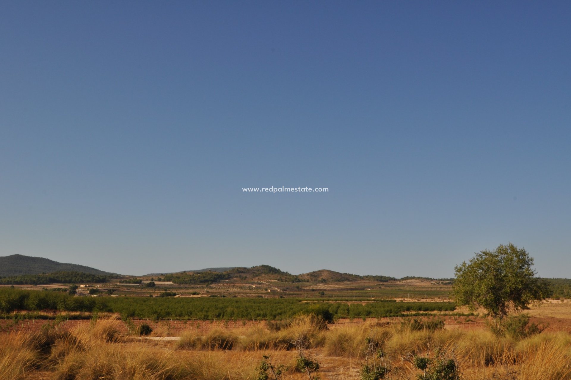 Videresalg - Finca / Landeiendom -
Pinoso - Inland