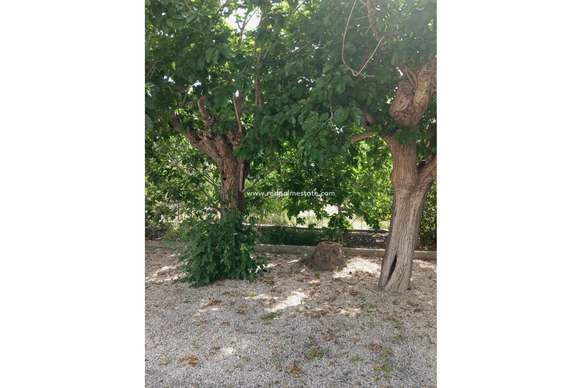 Videresalg - Finca / Landeiendom -
Redován - Inland