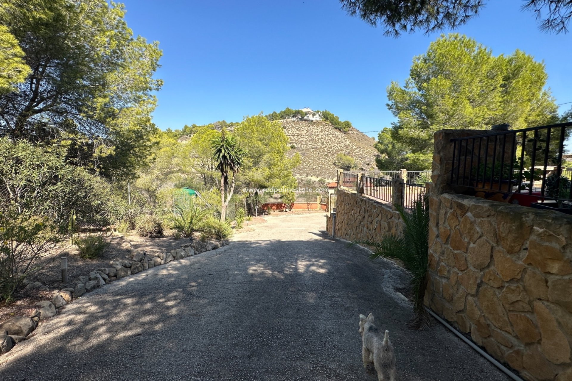 Videresalg - Finca / Landeiendom -
San Miguel de Salinas - Inland
