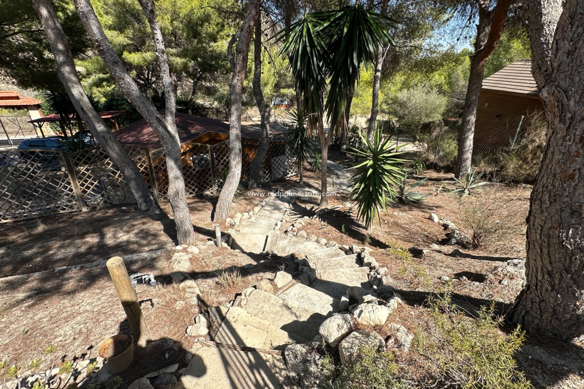 Videresalg - Finca / Landeiendom -
San Miguel de Salinas - Inland