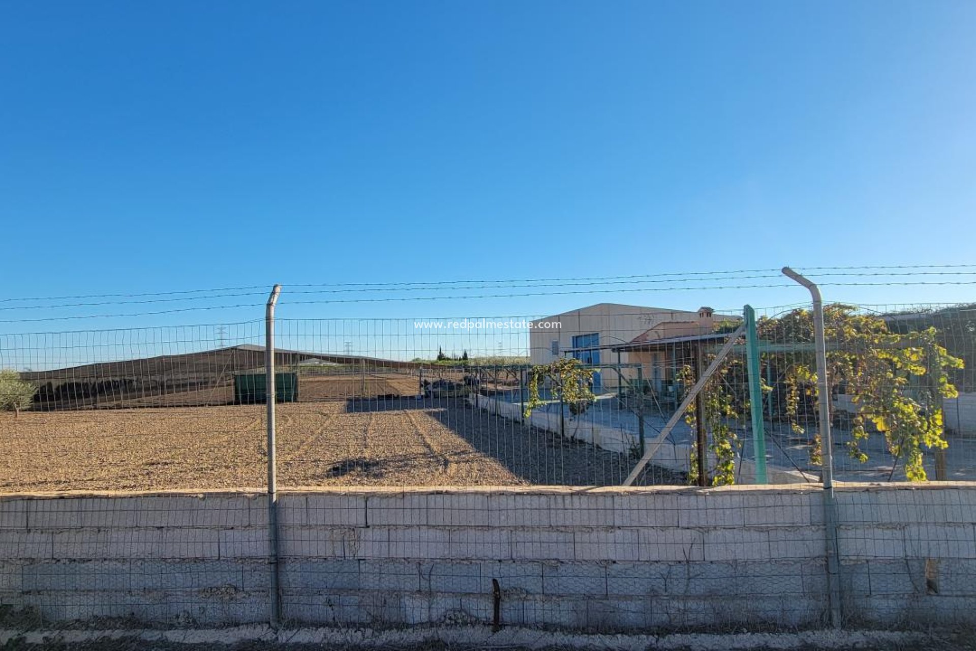 Videresalg - Finca / Landeiendom -
San Miguel de Salinas - San Miguel Salinas