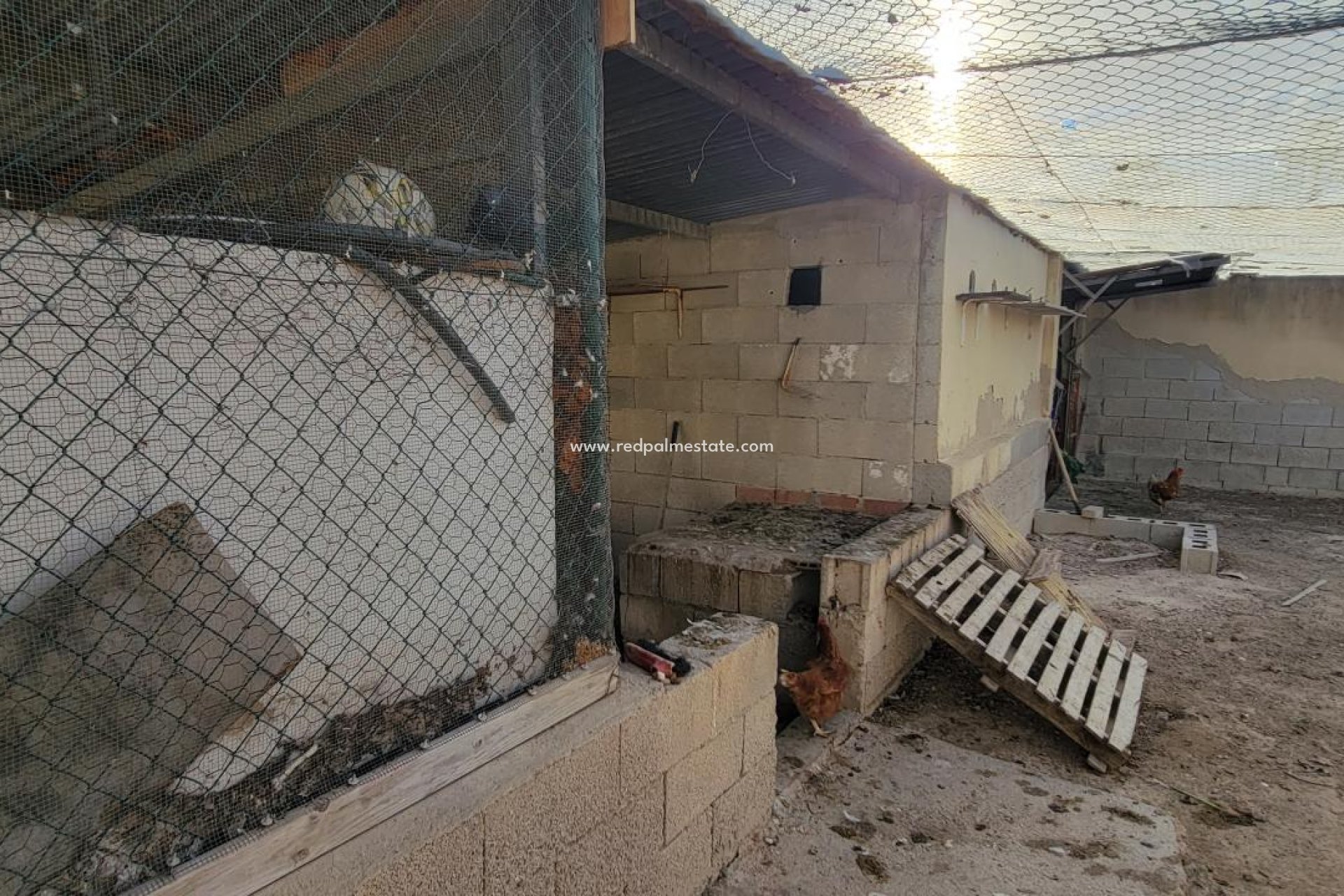 Videresalg - Finca / Landeiendom -
San Miguel de Salinas - San Miguel Salinas