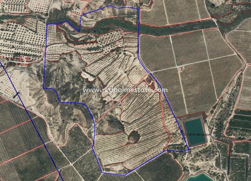 Videresalg - Finca / Landeiendom -
Torremendo