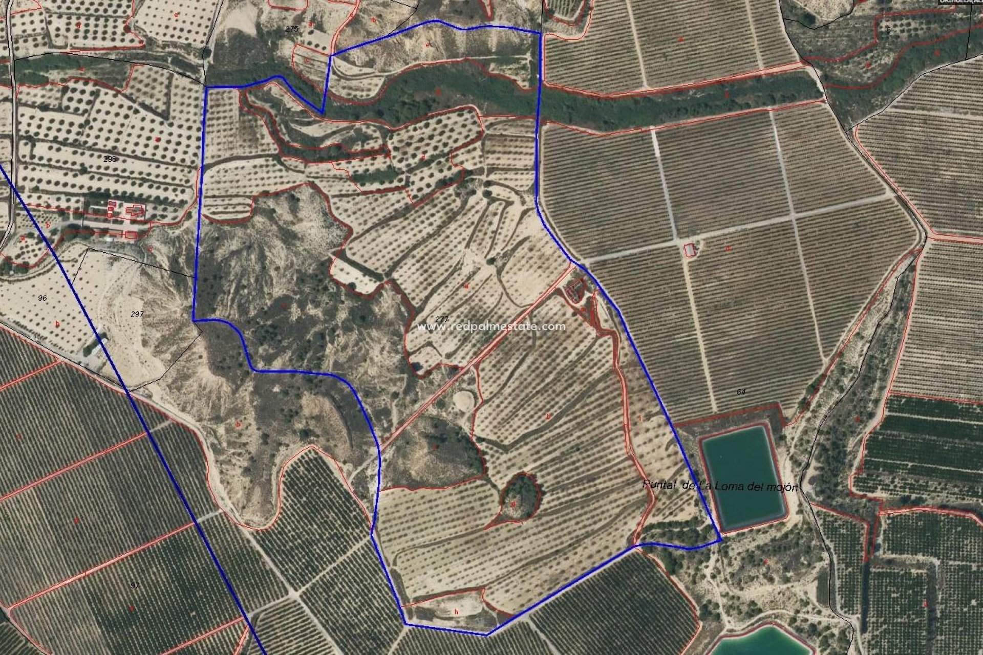 Videresalg - Finca / Landeiendom -
Torremendo