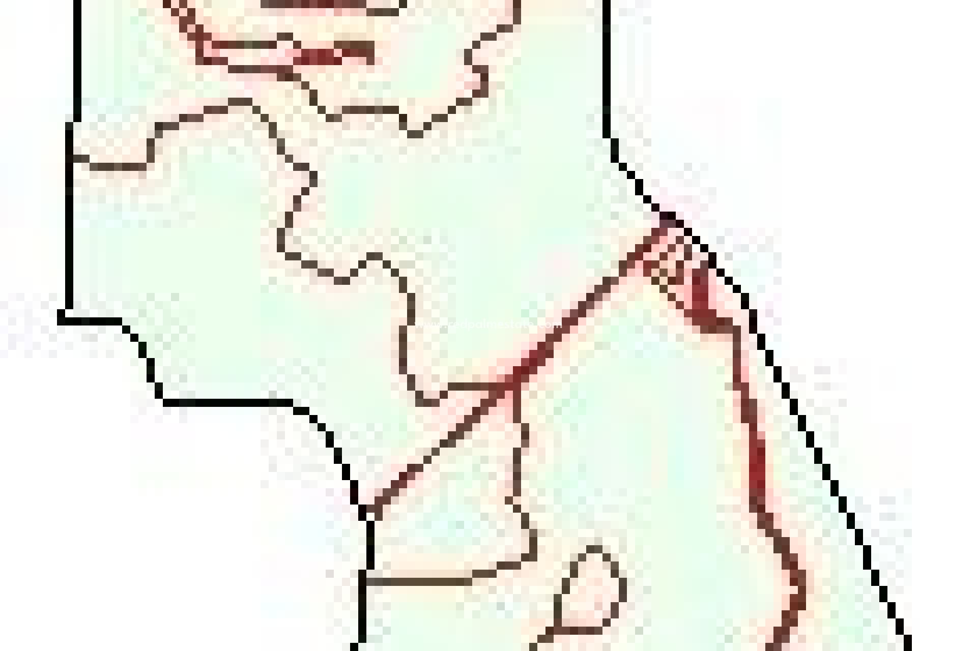 Videresalg - Finca / Landeiendom -
Torremendo