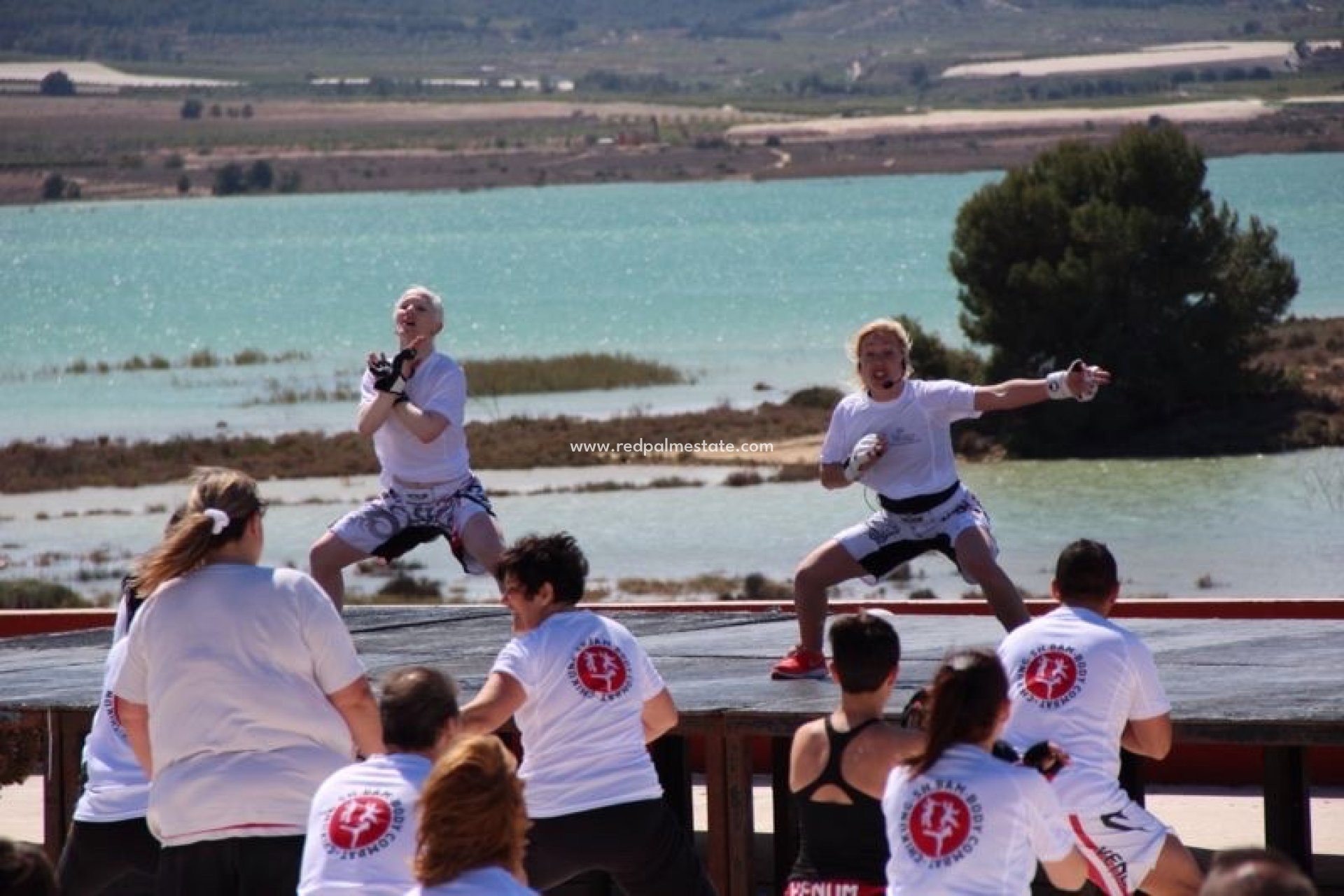 Videresalg - Finca / Landeiendom -
Torremendo