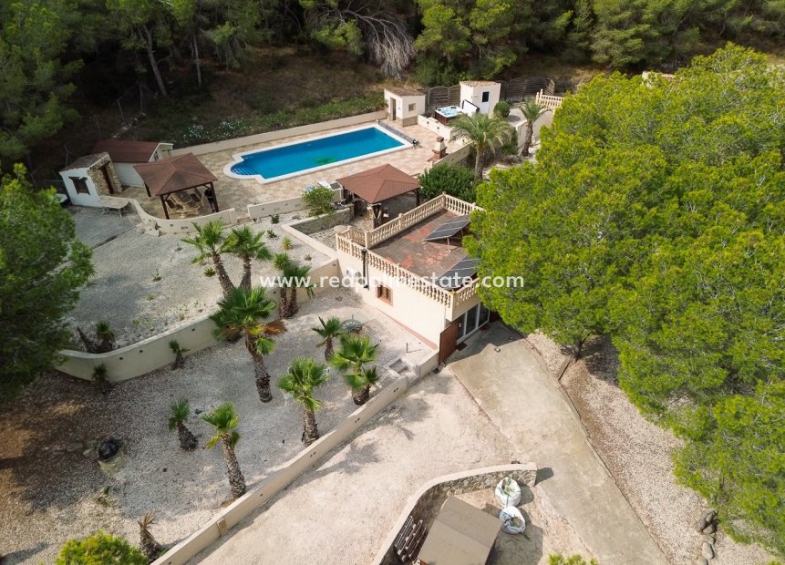 Videresalg - Finca / Landeiendom -
Torremendo
