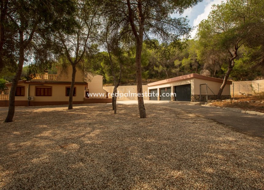 Videresalg - Finca / Landeiendom -
Torremendo