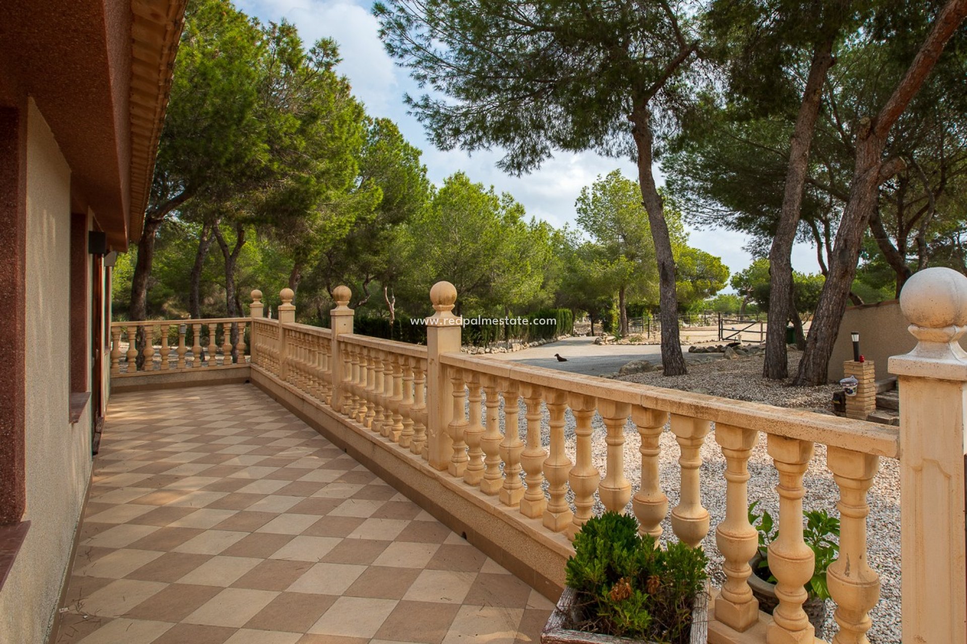 Videresalg - Finca / Landeiendom -
Torremendo