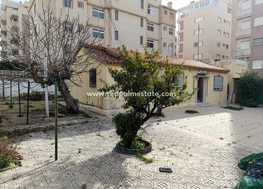 Videresalg - Finca / Landeiendom -
Torrevieja - Nueva Torrevieja - Aguas Nuevas