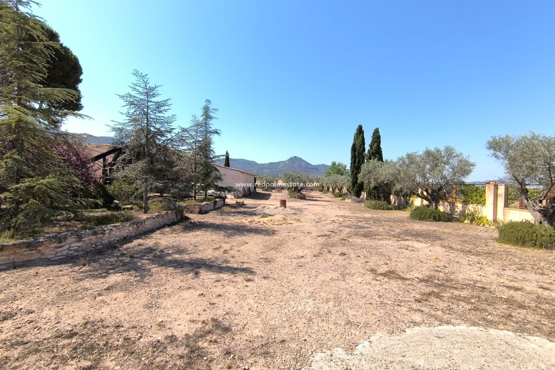 Videresalg - Finca / Landeiendom -
Villena - Inland