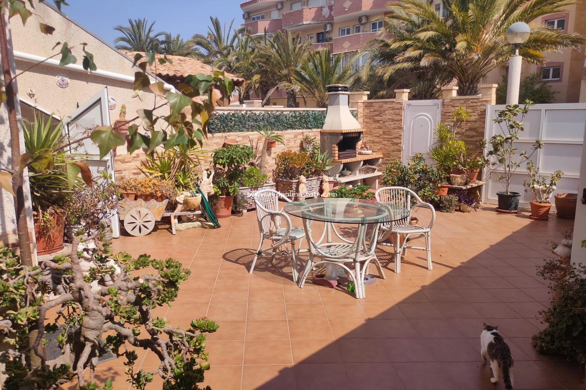 Videresalg - Flat -
Orihuela Costa - Campoamor