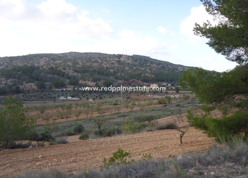 Videresalg - Land -
Pinoso - Inland