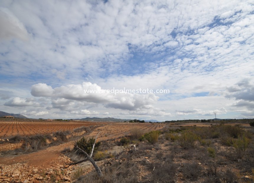 Videresalg - Land -
Pinoso - Inland