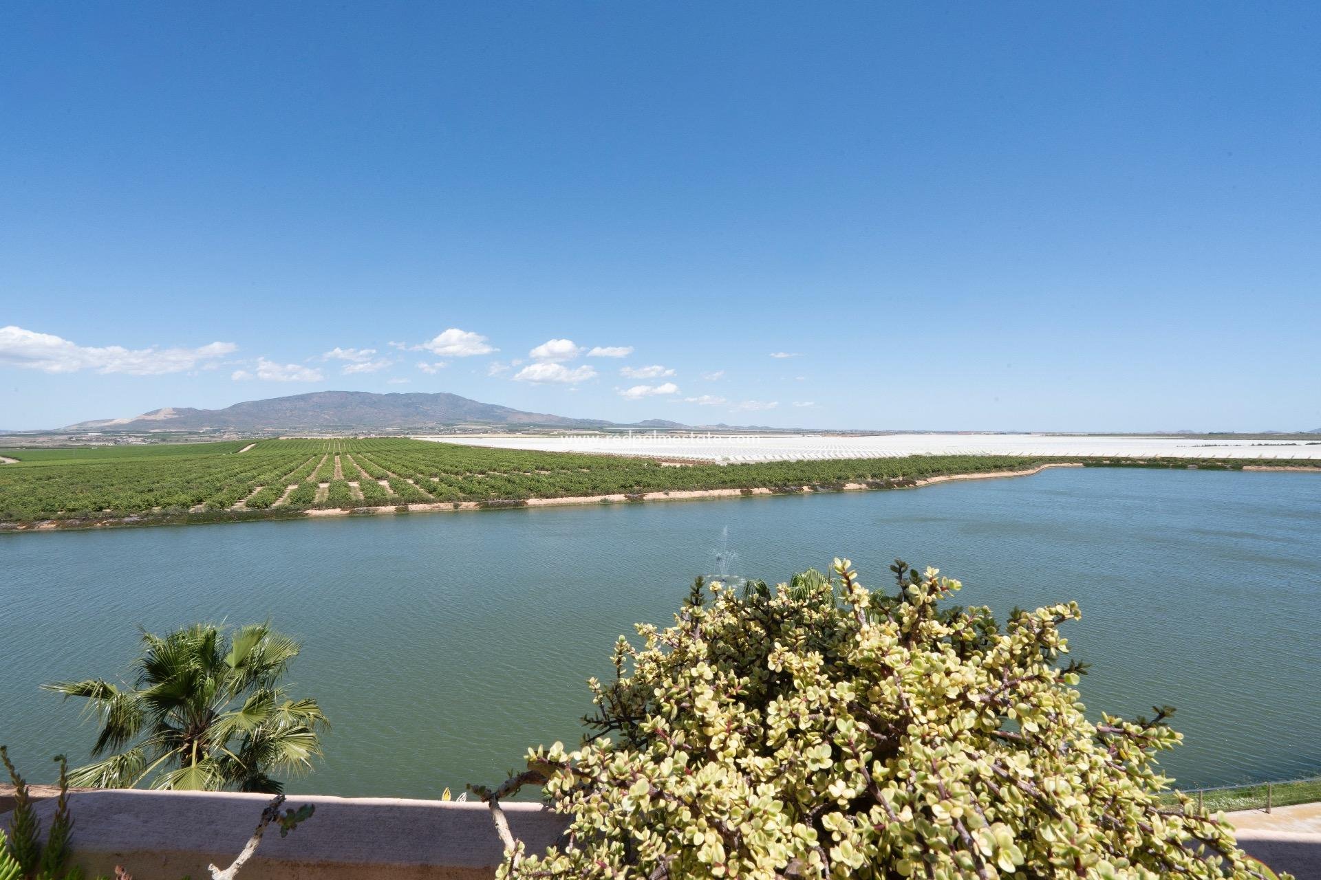 Videresalg - Leilighet -
Alhama De Murcia - Condado De Alhama