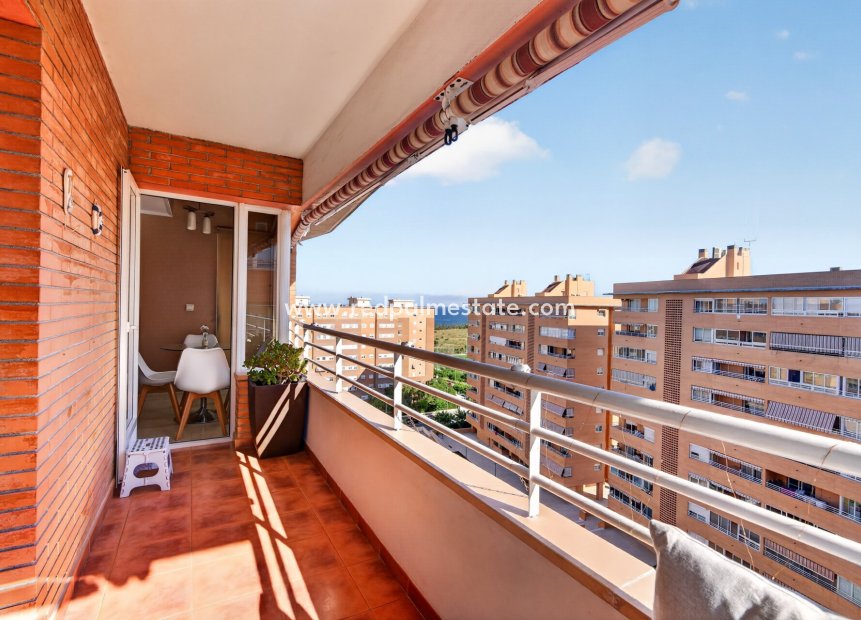 Videresalg - Leilighet -
Alicante - San Gabriel
