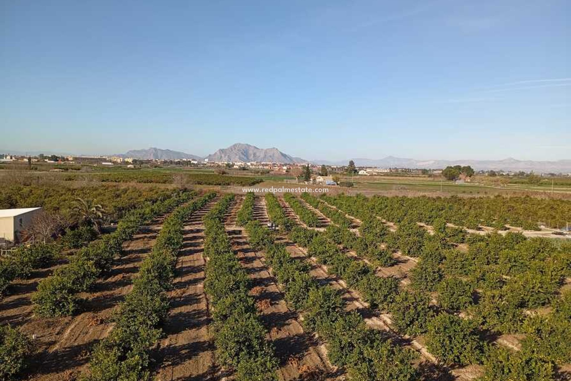 Videresalg - Leilighet -
Daya Nueva - Costa Blanca