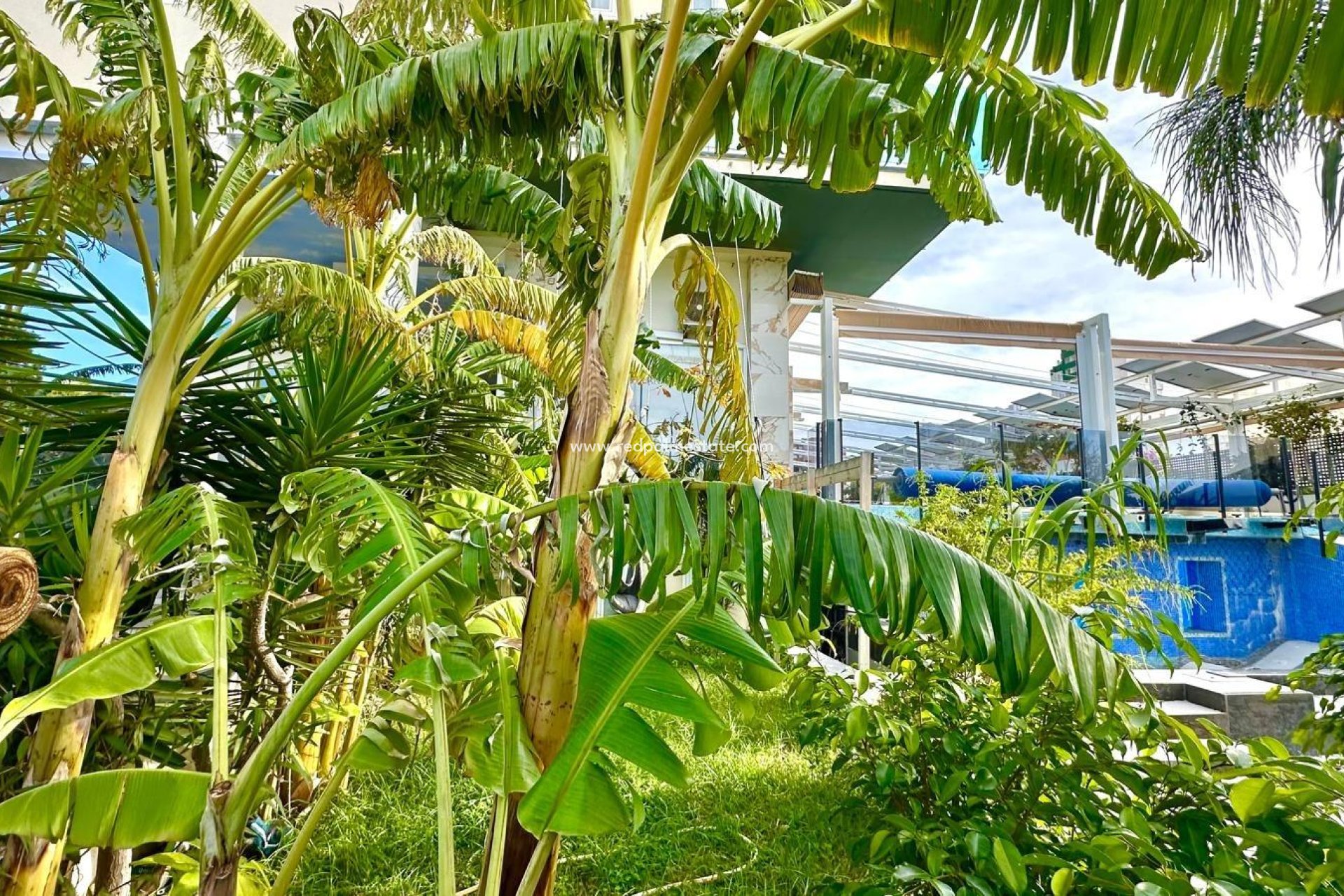 Videresalg - Leilighet -
Finestrat