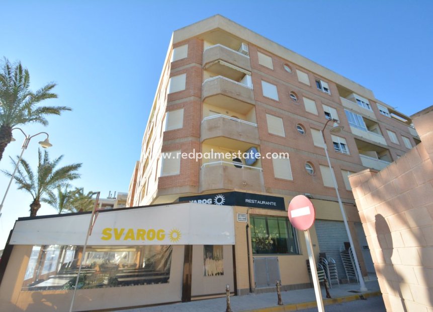 Videresalg - Leilighet -
Guardamar del Segura - Guardamar