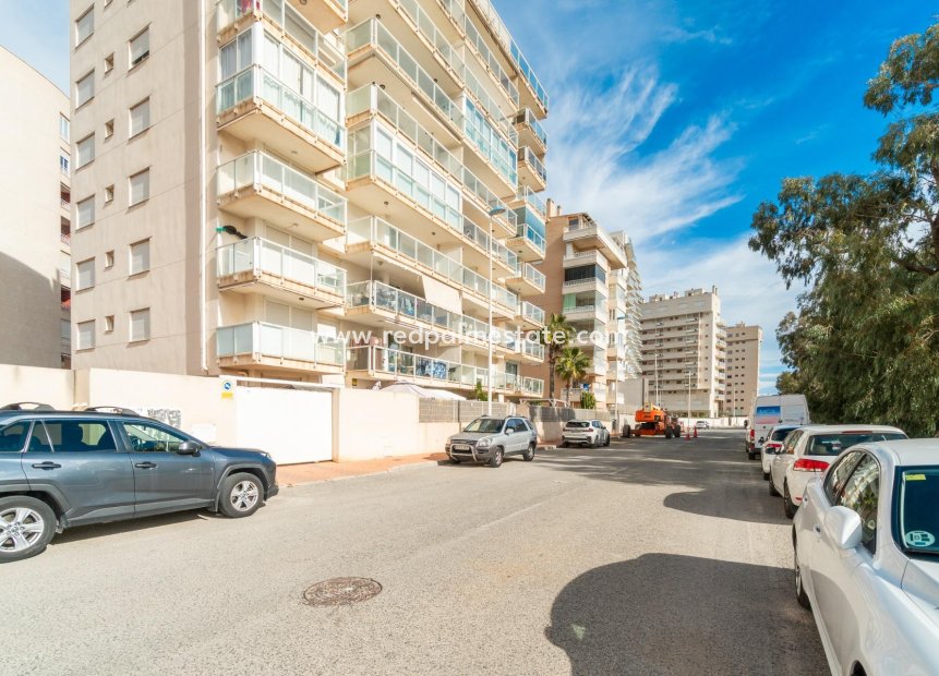 Videresalg - Leilighet -
Guardamar del Segura - Puerto Deportivo