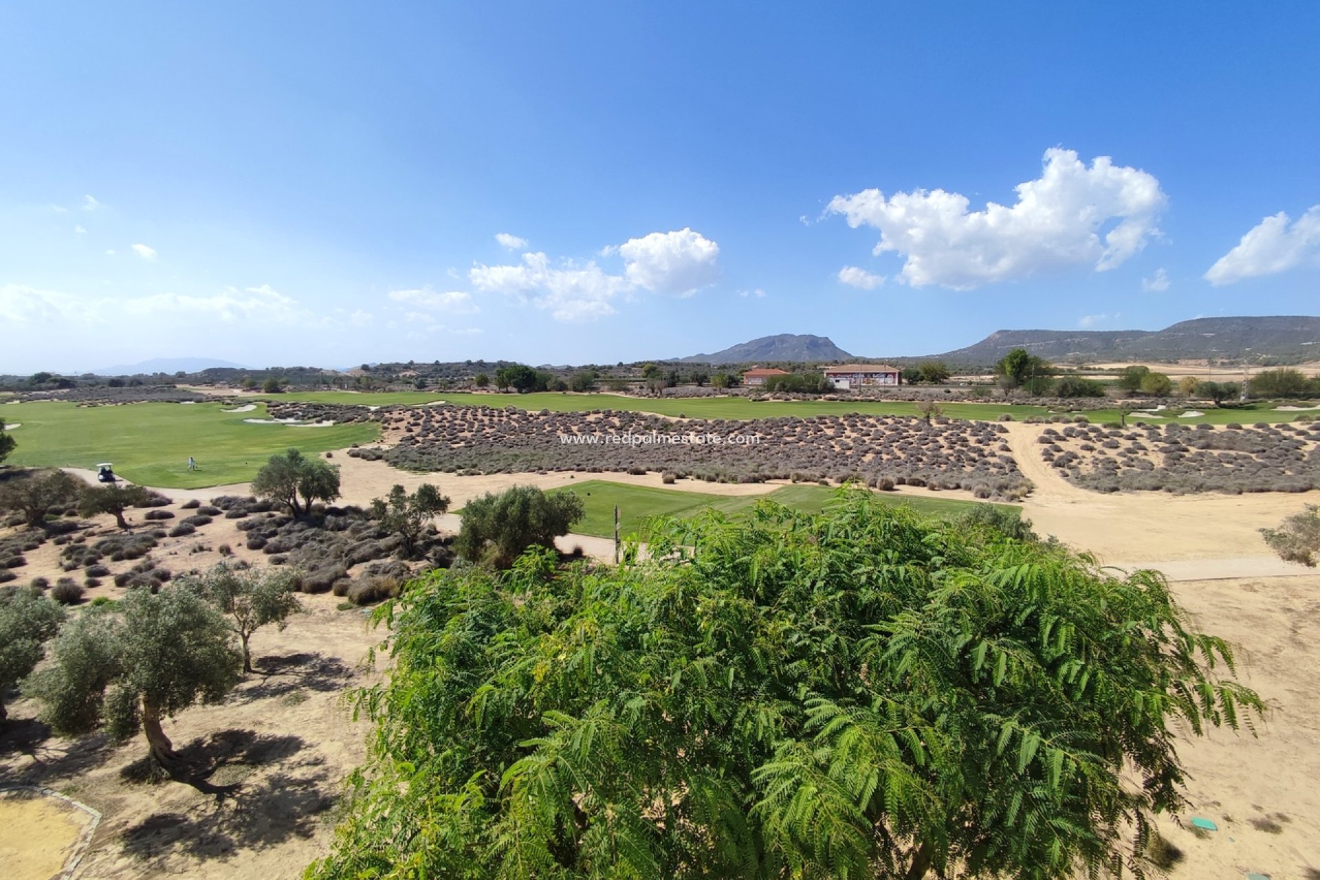 Videresalg - Leilighet -
Hacienda Riquelme Golf Resort - Inland