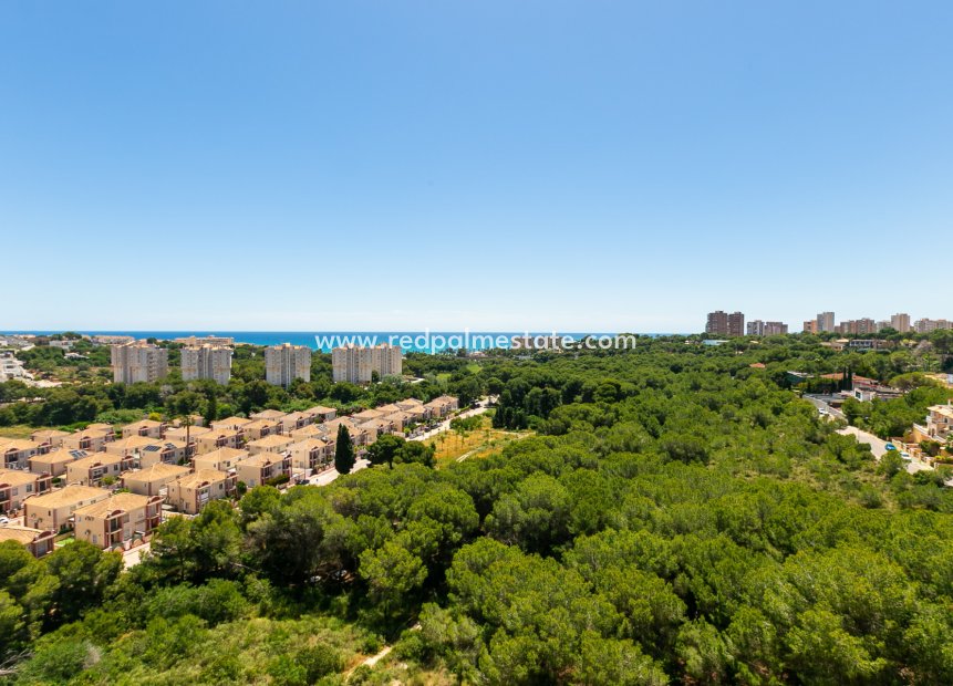 Videresalg - Leilighet -
Orihuela Costa - Dehesa de Campoamor