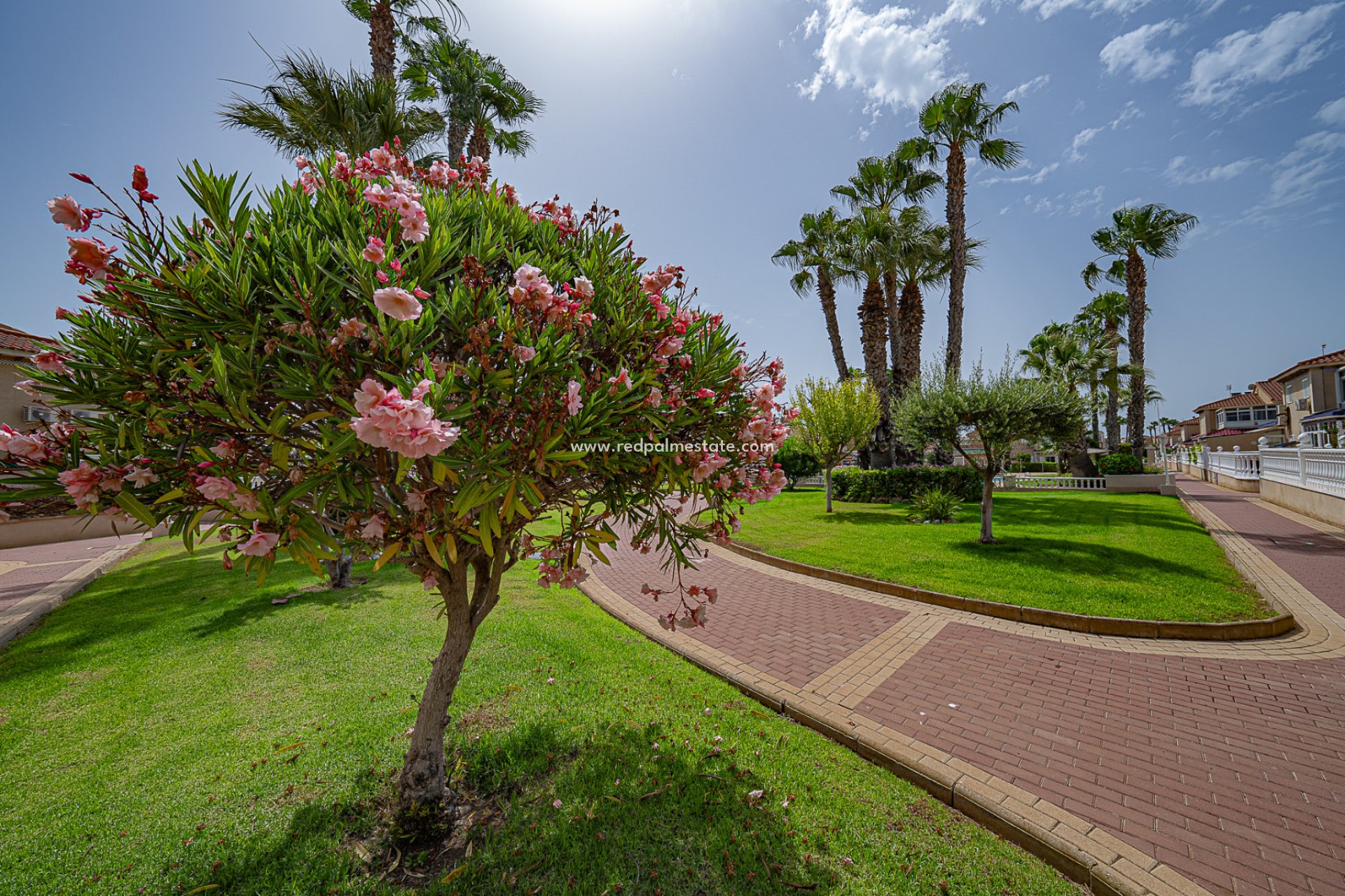 Videresalg - Leilighet -
Orihuela Costa - Zenia Mar