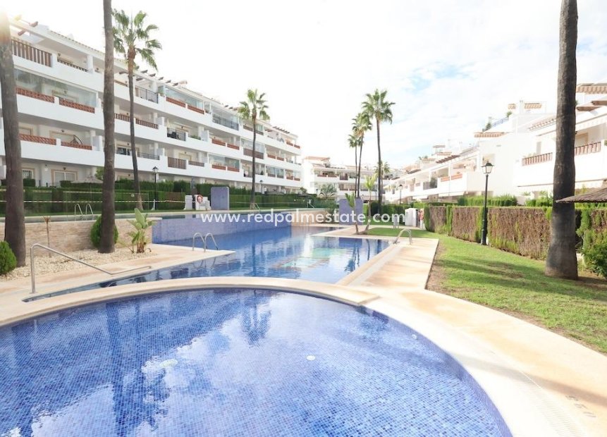 Videresalg - Leilighet -
Orihuela Costa