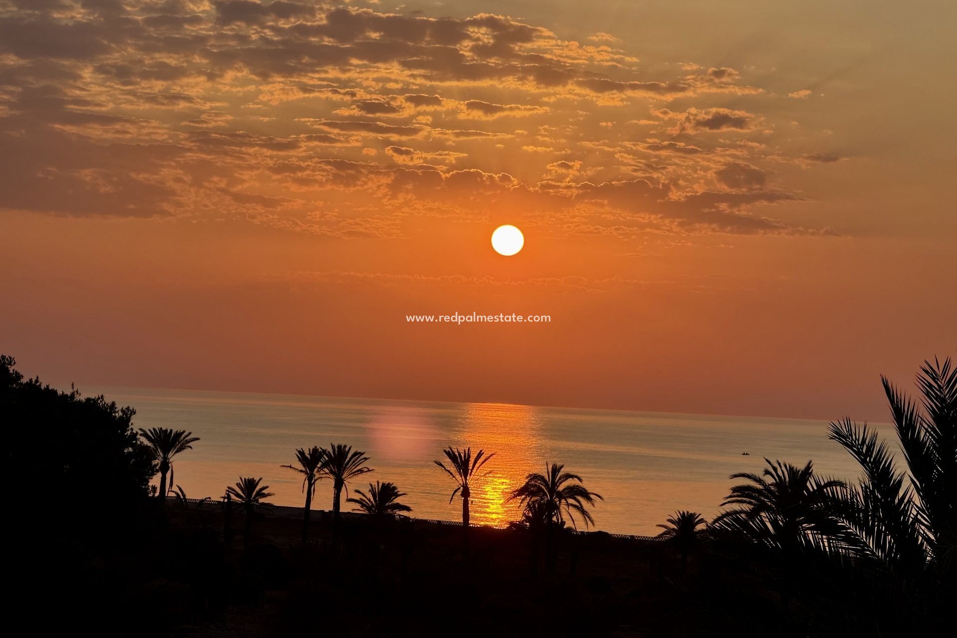 Videresalg - Leilighet -
San Miguel de Salinas - Inland