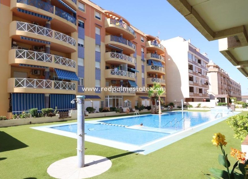 Videresalg - Leilighet -
Torrevieja - Centro Torrevieja