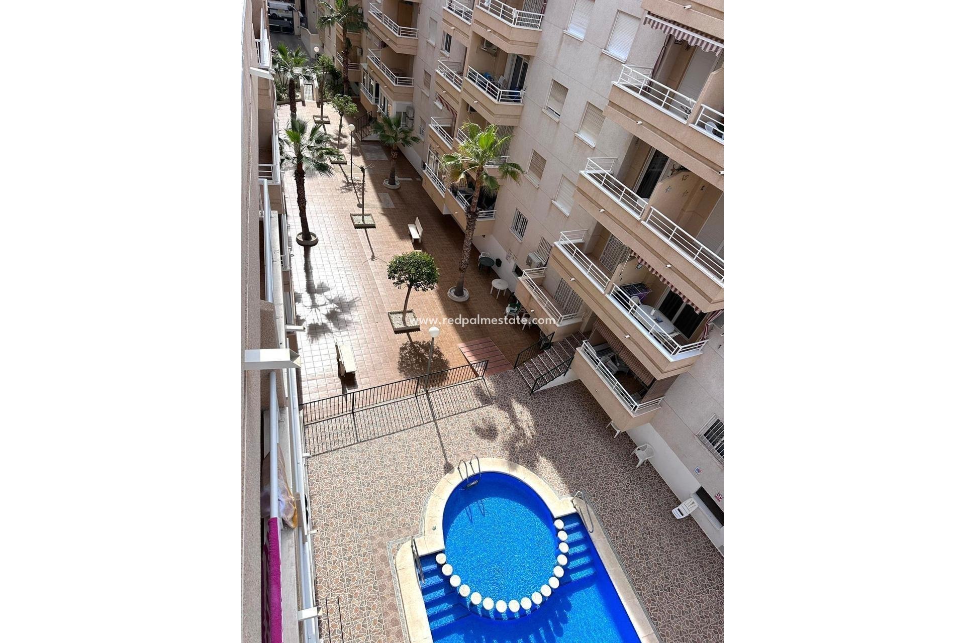 Videresalg - Leilighet -
Torrevieja - Centro Torrevieja